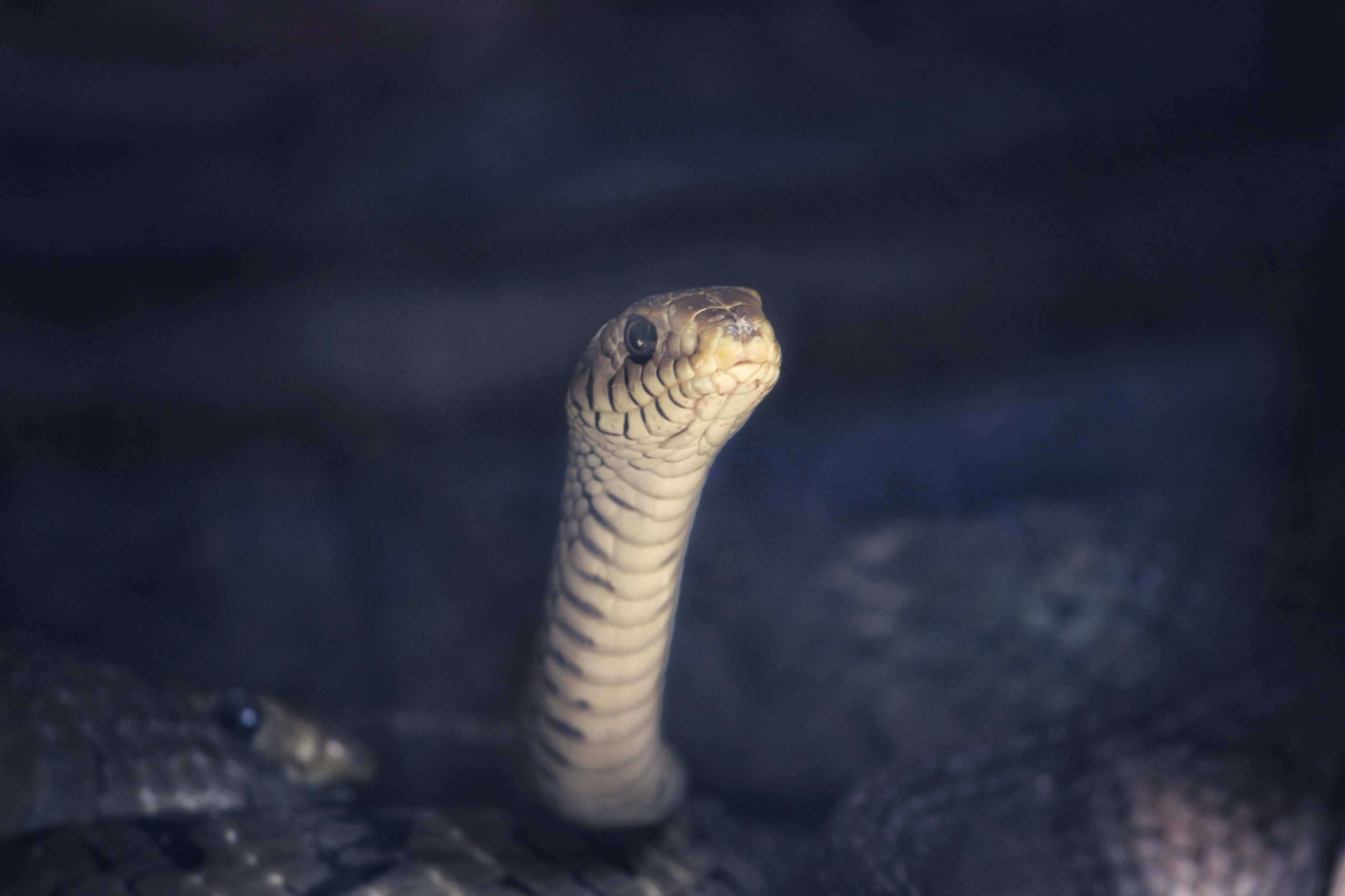 Photo by pavan adepu